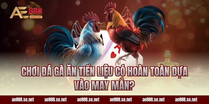 Chơi đá gà ăn tiền liệu có hoàn toàn dựa vào may mắn?